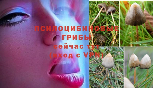 COCAINE Алзамай